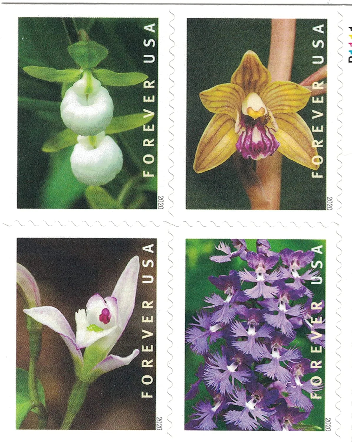 Wild Orchids Forever Stamps image 1