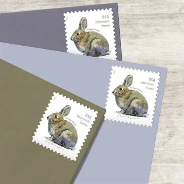 2021 Brush Rabbit Forever First Class Postage Stamps image 3