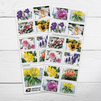 Snowy Beauty Forever Stamps image 3