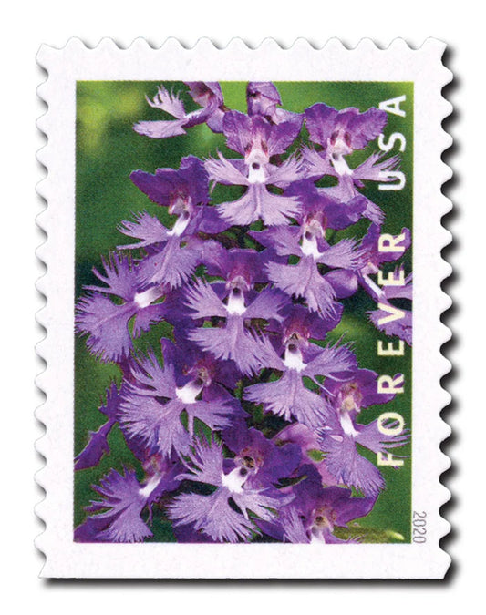 Wild Orchids Forever Stamps image 0