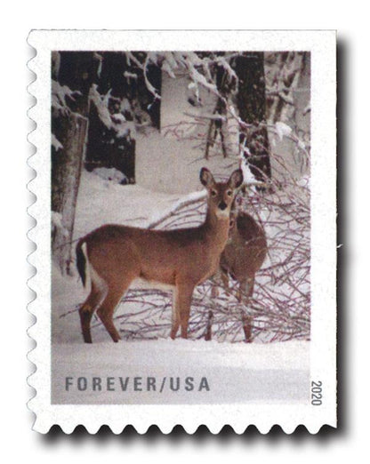 Winter Scenes Forever Stamps image 0