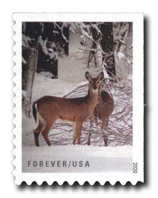Winter Scenes Forever Stamps image 0