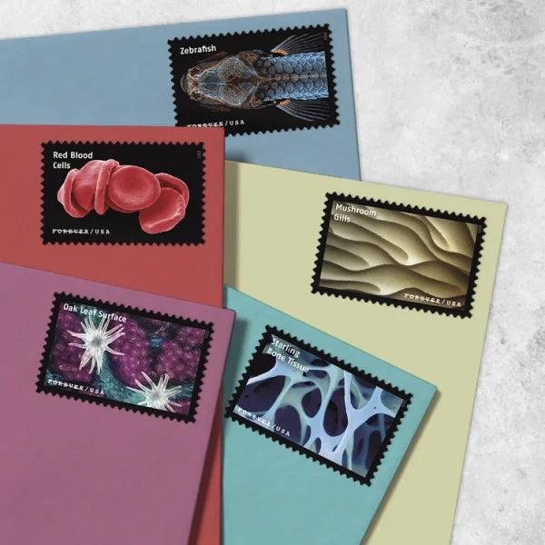 Life Magnified Forever Stamps image 2