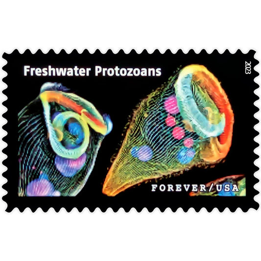 Life Magnified Forever Stamps image 0