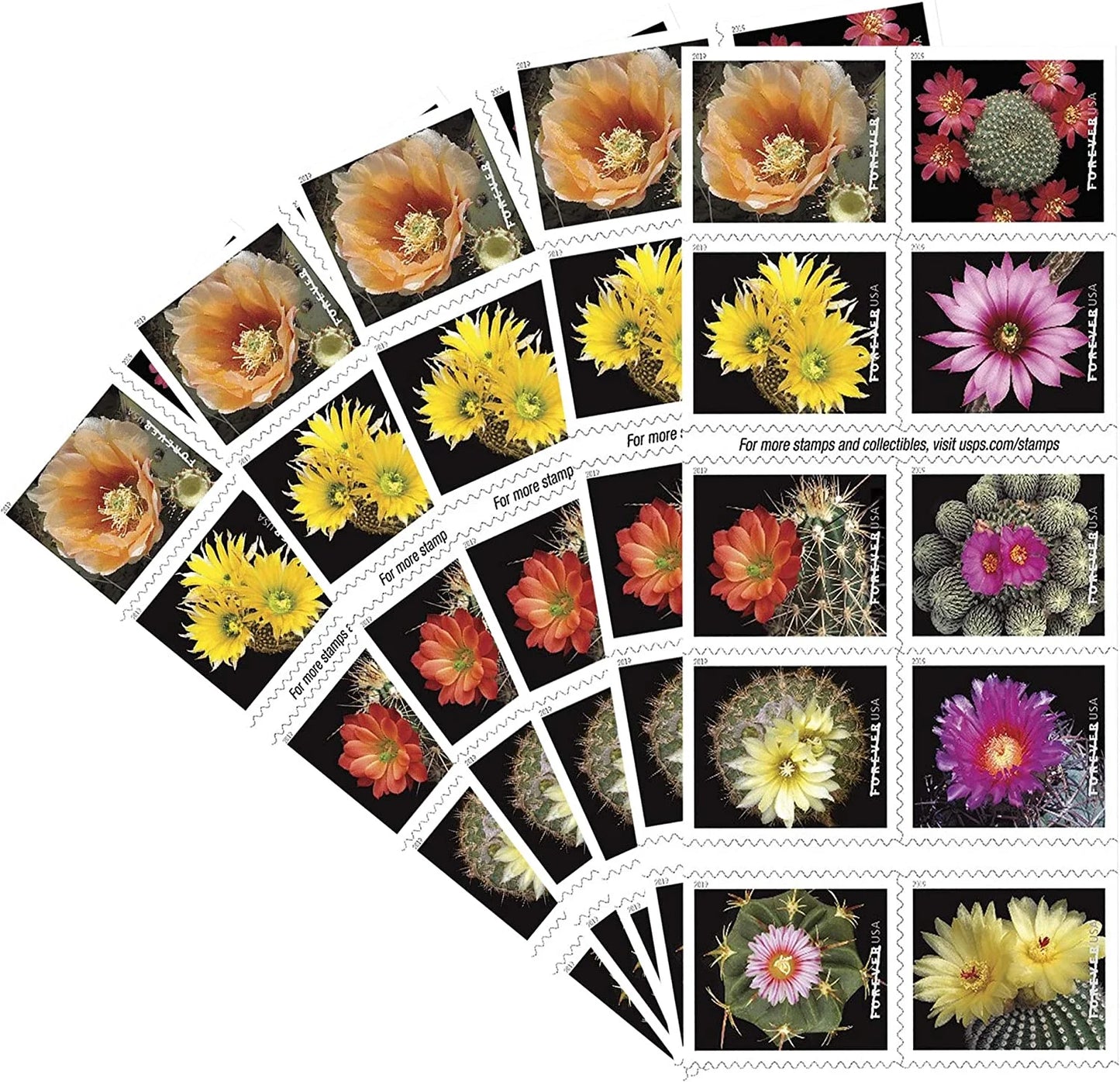 Cactus Flowers Forever Stamps image 3