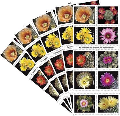 Cactus Flowers Forever Stamps image 3