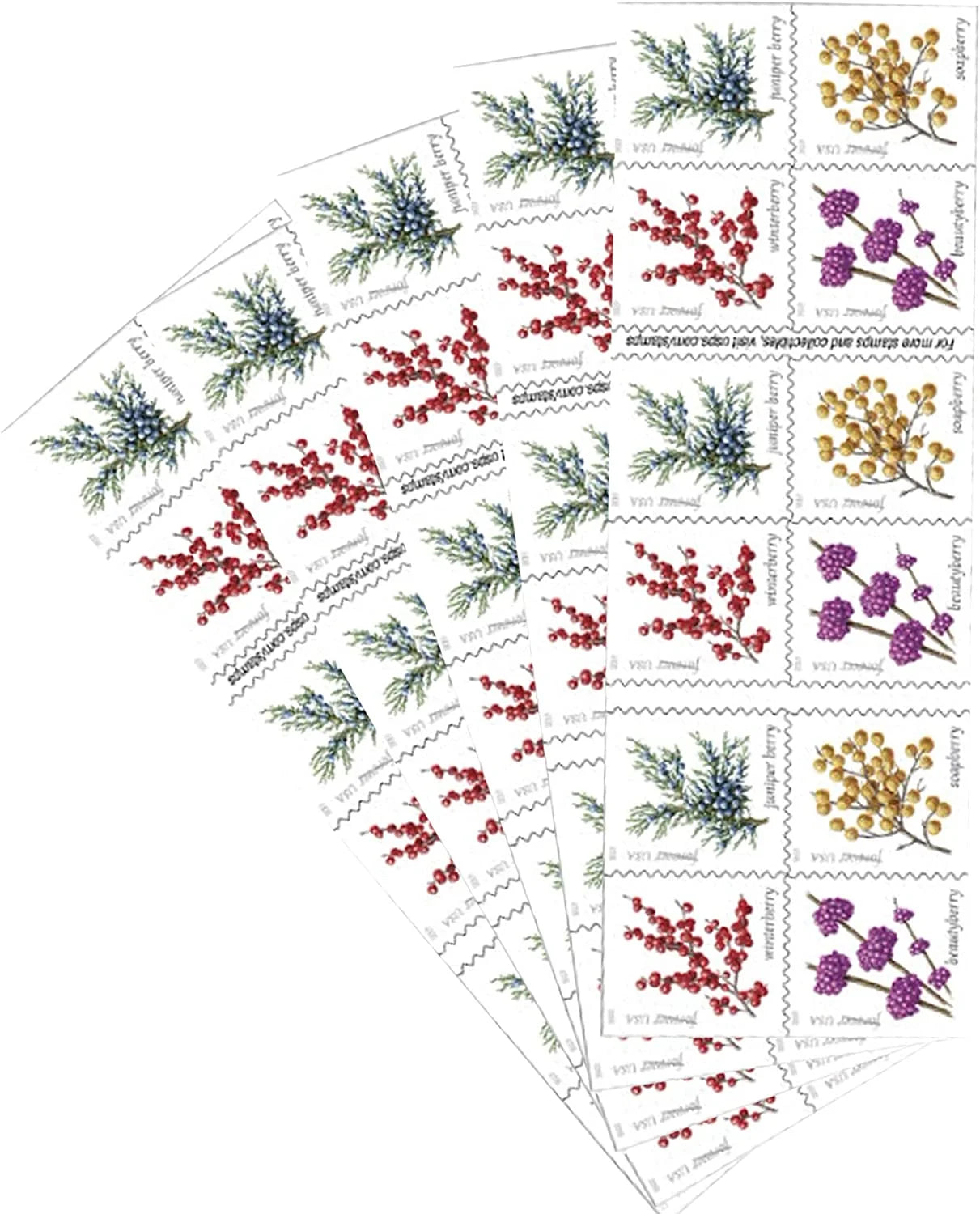 Winter Berries Forever Stamps image 2