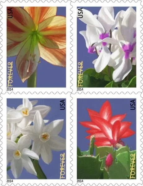 Winter Flowers Forever Stamps image 0