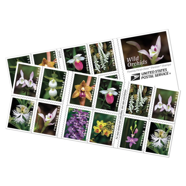 Wild Orchids Forever Stamps image 2