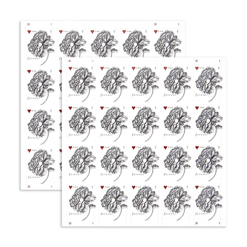 2015 Engraved Vintage Rose Forever First Class Stamps image 2
