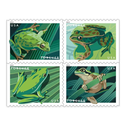Squirrel Tree Frog Forever Stamps image 0