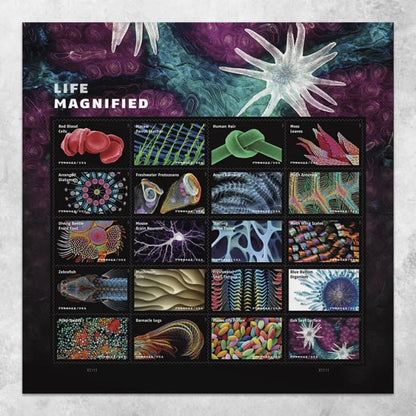 Life Magnified Forever Stamps image 1