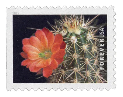 Cactus Flowers Forever Stamps image 0