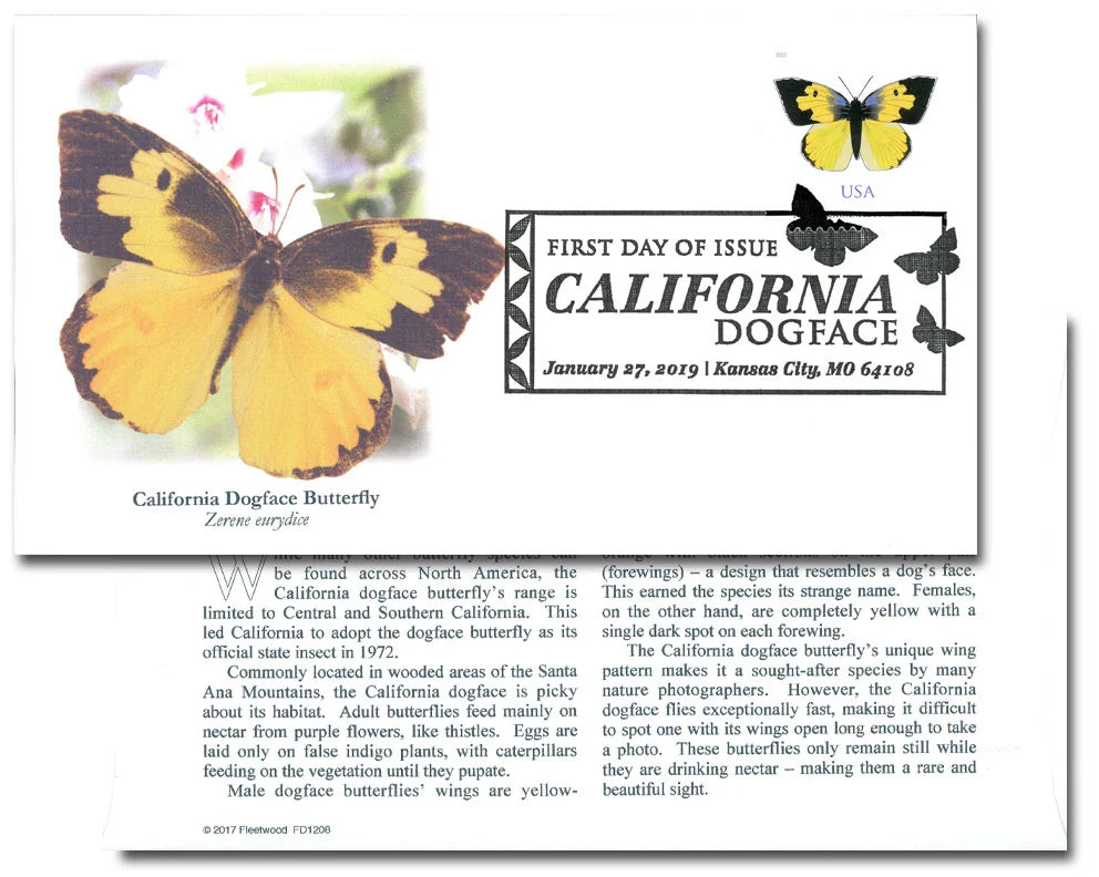 $1.12 California Dogface Butterfly image 3