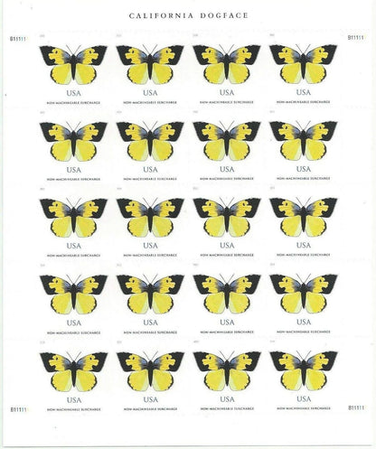 $1.12 California Dogface Butterfly image 1