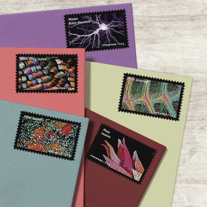 Life Magnified Forever Stamps image 3