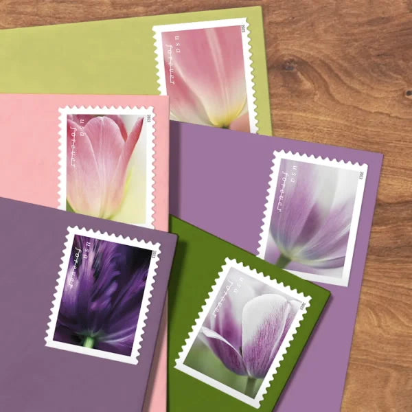 Tulip Blossoms Forever Stamps image 2