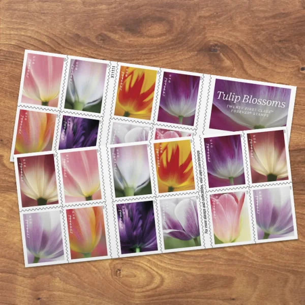 Tulip Blossoms Forever Stamps image 1