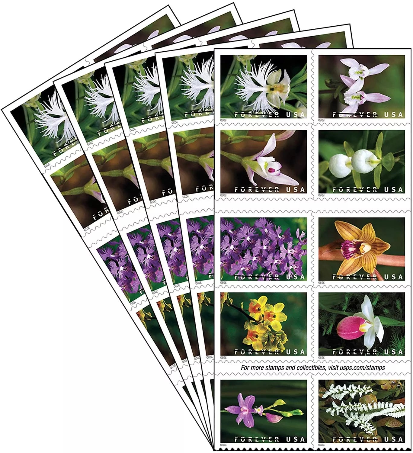 Wild Orchids Forever Stamps image 3