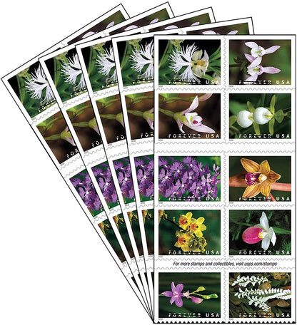 Wild Orchids Forever Stamps image 3